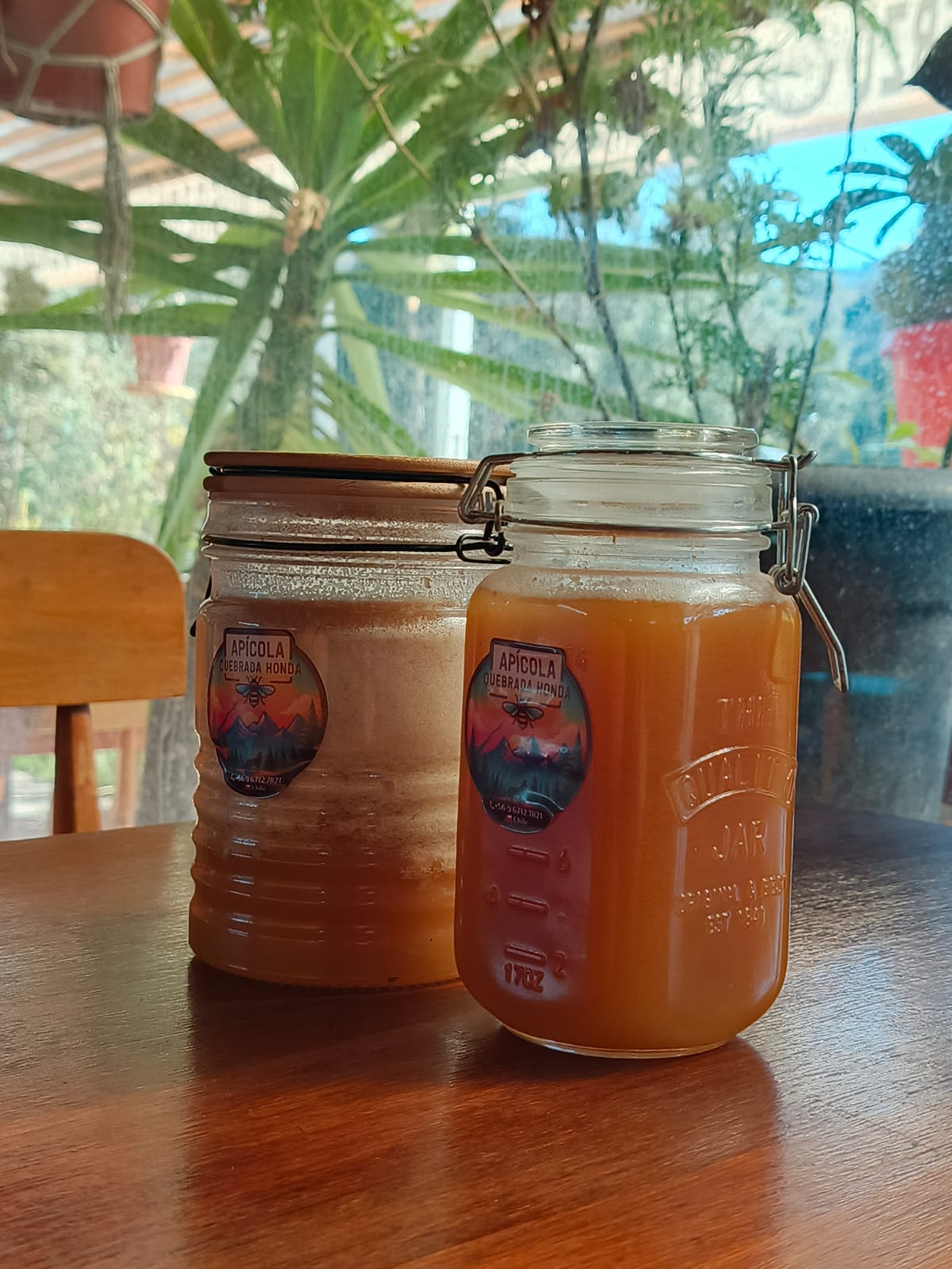 Emporio Quebrada Honda: sabores, naturaleza y descanso en Lo Zárate